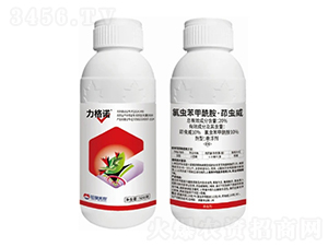 20%���x�������������x���Ҹ���-�����Z-�����