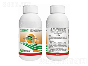 100�|����/�˽����ӾG�����͑Ҹ���-�����E��-�����