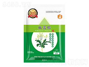 ���{(l��n)����ˎ������ó��݄�-�����r(n��ng)�I(y��)