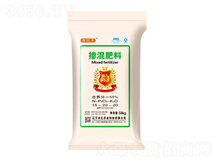 �������15-20-20-�����S-�Ѓ|�r(n��ng)�I(y��)