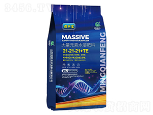 ����Ԫ��ˮ�ܷ���21-21-21+TE-���Ќ�-��ǰ�S