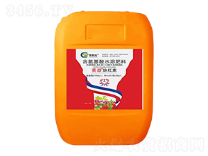 ��������ˮ�ܷ���-Ӣ���}�t��-��ɭԪ 