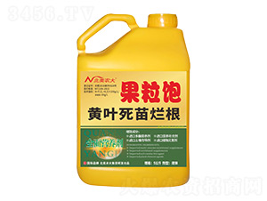 �S�~���砀�������-�����r(n��ng)��