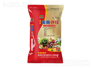 �����;�ø��@-(li��n)��μ�