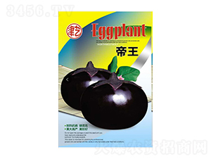 ���ӷN��-����-���S�r(n��ng)�I(y��)