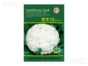 ���˷N��-���S70-���S�r(n��ng)�I(y��)