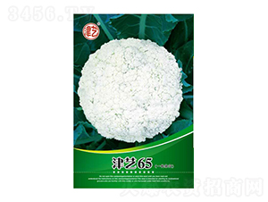 ���˷N��-��ˇ65-���S�r(n��ng)�I(y��)