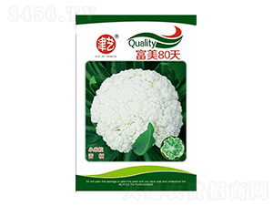 ���˷N��-����80��-���S�r(n��ng)�I(y��)