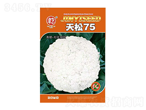 ���˷N��-����75-���S�r(n��ng)�I(y��)