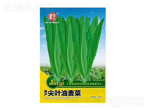 �����˷N��-���~������-���S�r(n��ng)�I(y��)