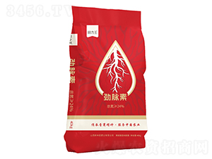 ���}�أ�̼ø�@⛣�-������