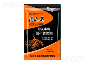 ����ľù΢�������-��֮��-�h(hu��n)�|-�е����r(n��ng)