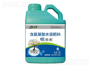 ���~������������-����ʩ