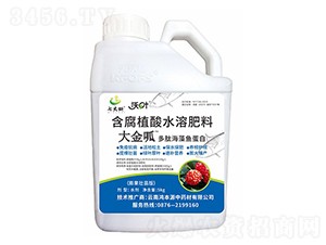 ���ĺ����~����-�����-����ʩ