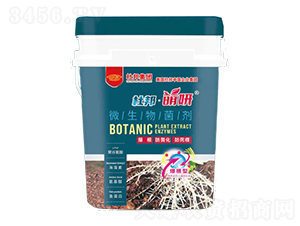 ΢�������-����-�Ű�