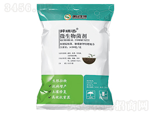 ��ʩ��΢�������-�����_(d��)-�������