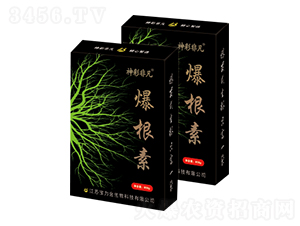 ������-��ʷǷ�-������