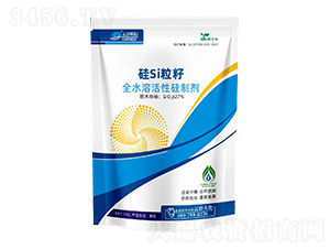 ��Si����-���_(t��i)��