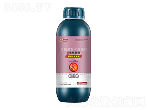 ���������ø-���_(t��i)��