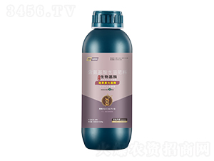 �ع�����ø-���_(t��i)��