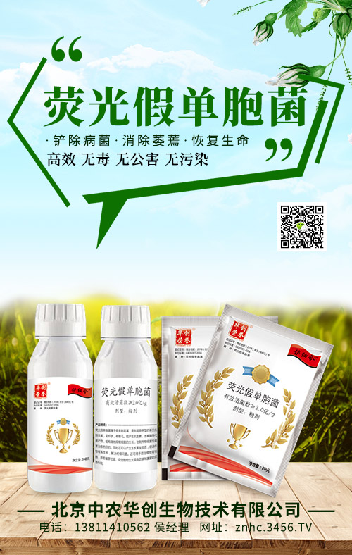 �ɹ�نΰ������r(n��ng)�A��(chu��ng)